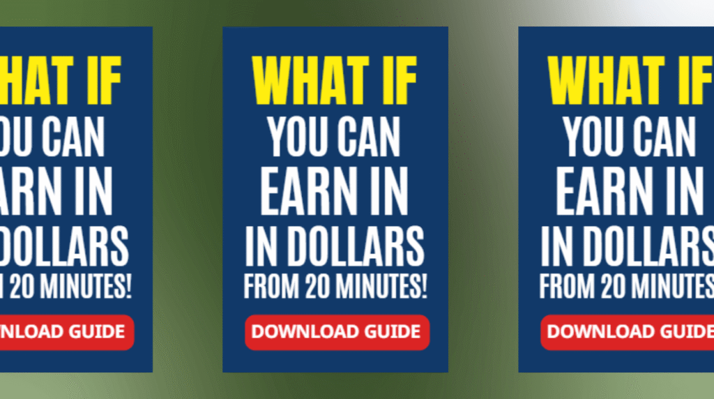Earn in Dollars PDF Guide